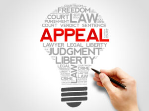 South Florida Appellate Attorneys